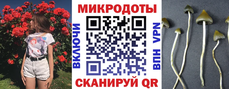 Псилоцибиновые грибы мицелий  Рыбное 