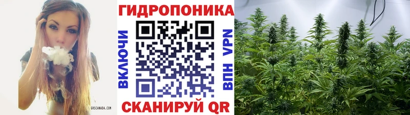 Каннабис планчик даркнет как зайти Рыбное где можно купить